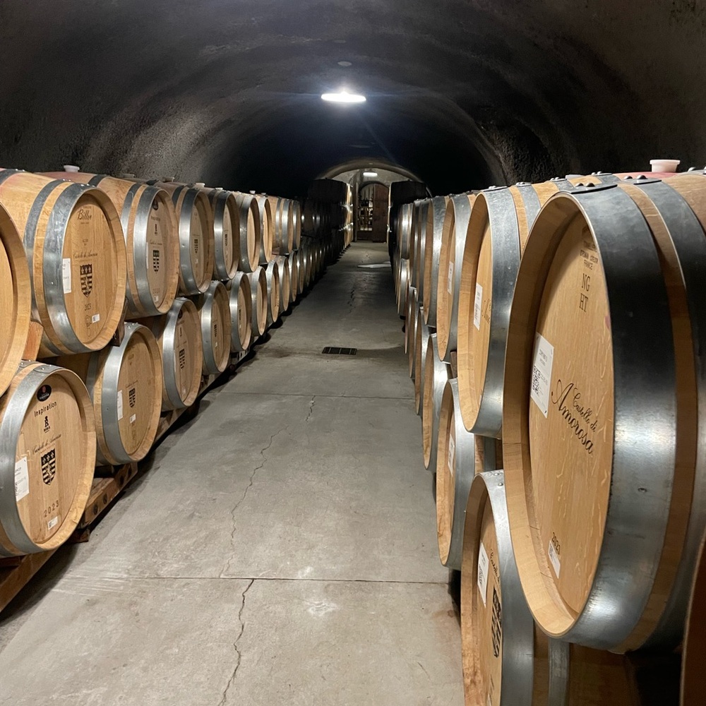 Meet your Posher, Sam